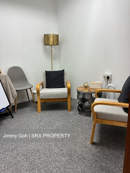 Sim Lim Tower (D8), Office #547374181